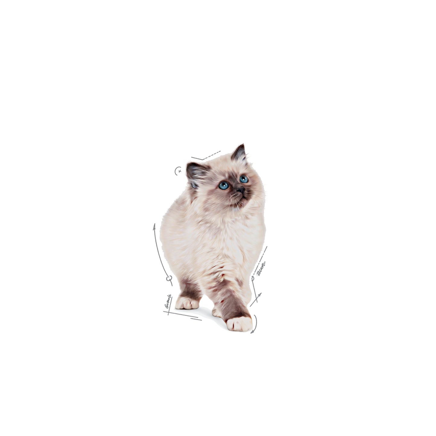 SOL - KITTEN - WET - EMBLEMATIC - B1