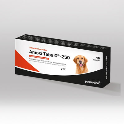 Agrovet Market | Amoxi-Tabs C-250 amoxicilina y ácido clavulánico en tabletas para perros y gatos – Caja x 10 tabletas, Caja x 50 tabletas