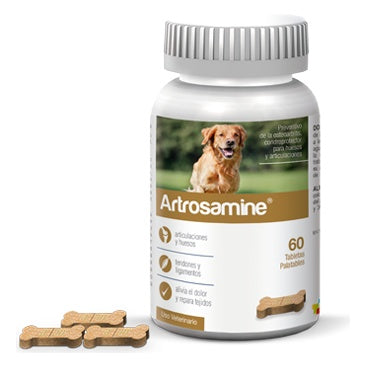 Agrovet Market | Artrosamine condroprotector con glucosamina y condroitina para perros (frasco x 60 tabletas) – frasco x 60 tabletas
