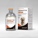 Agrovet Market | Liquamox C IS amoxicilina y ácido clavulánico suspensión inyectable para perros y gatos 50 ml – 50 ml