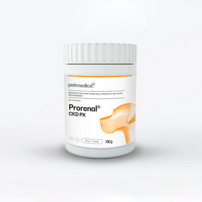 Agrovet Market | Prorenal CKD Px suplemento en polvo para la función renal de perros y gatos – Pote de 100 g, Pote de 300 g