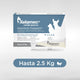 Agrovet Market | Xelamec Combi Spot On selamectina y praziquantel pipetas para perros y gatos (caja x 5) – Pipetas de 0,25 mL · hasta 2,5 kg