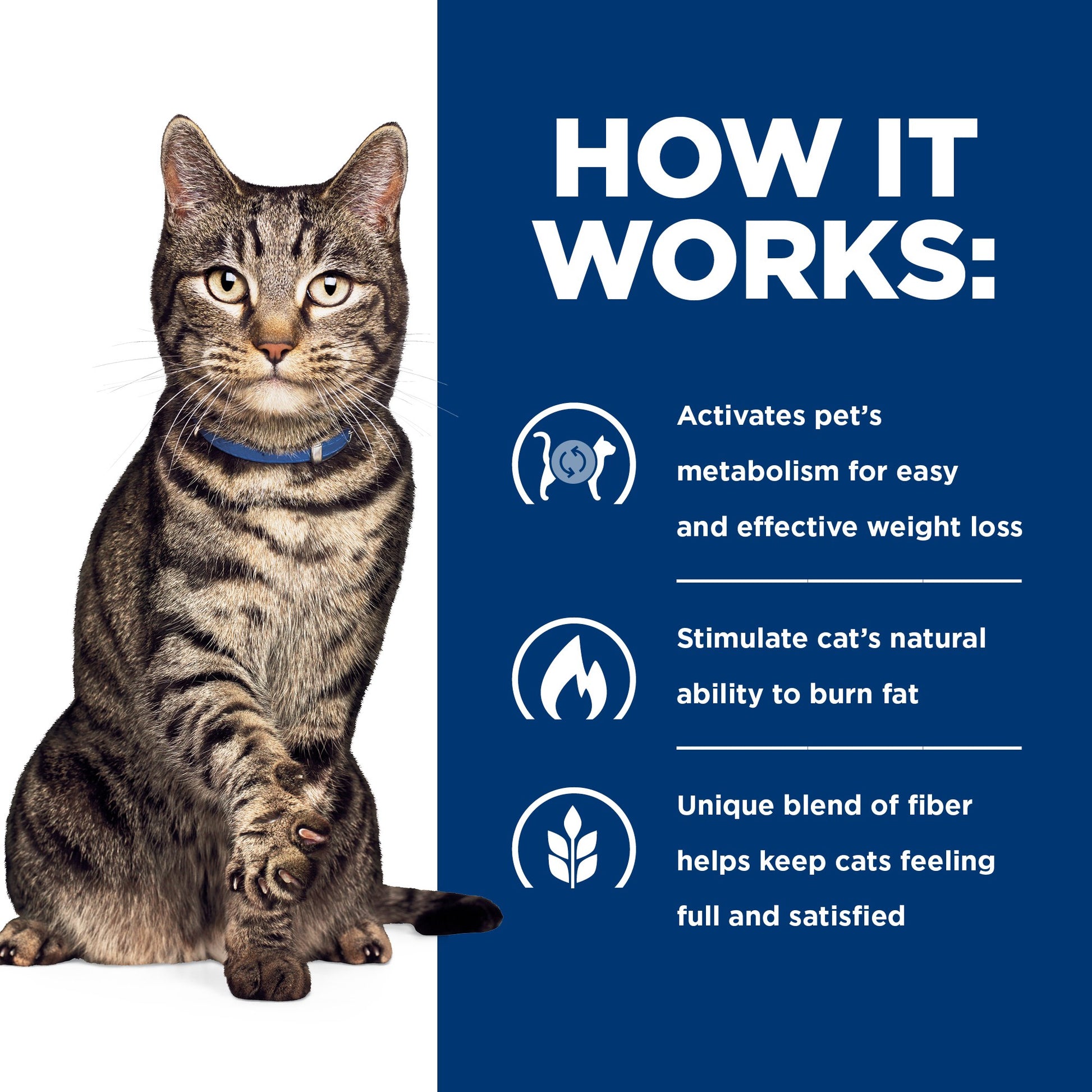 Hill's Prescription Diet Metabolic Stew Cat