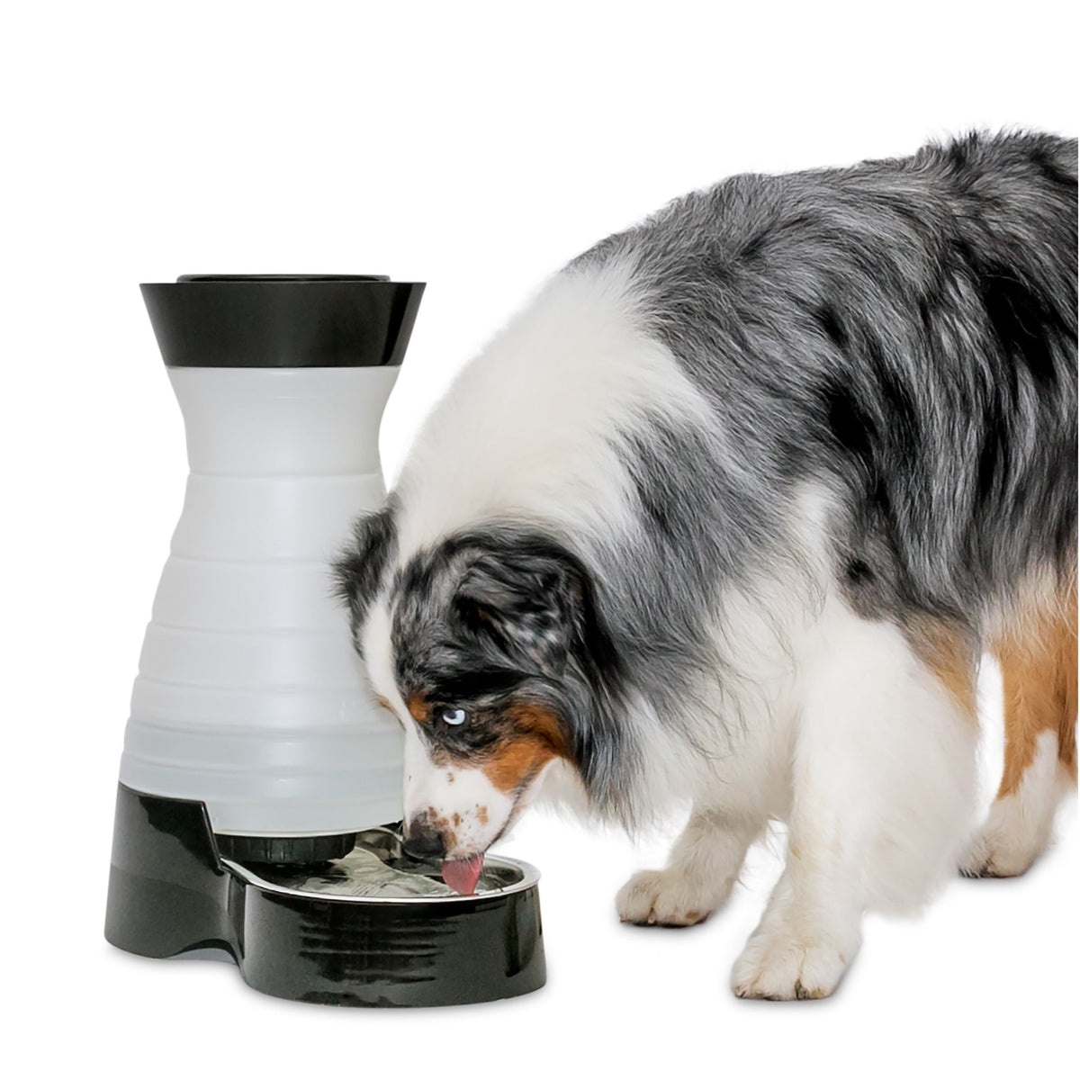 Healthy Pet Water Station™