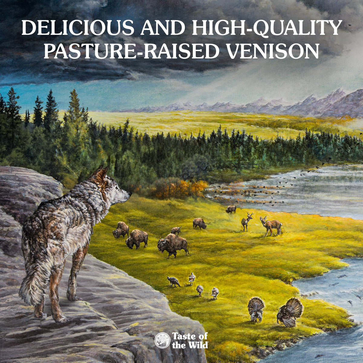 Taste of the Wild | Appalachian Valley adultos de razas pequeñas con venado asado