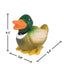Animal Squeak Toys