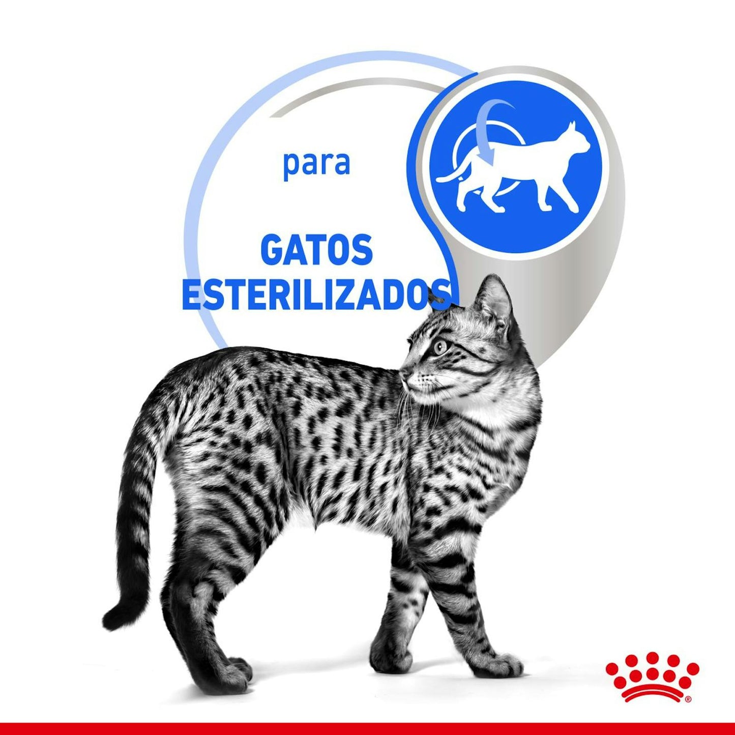 BENEFICIOS 1