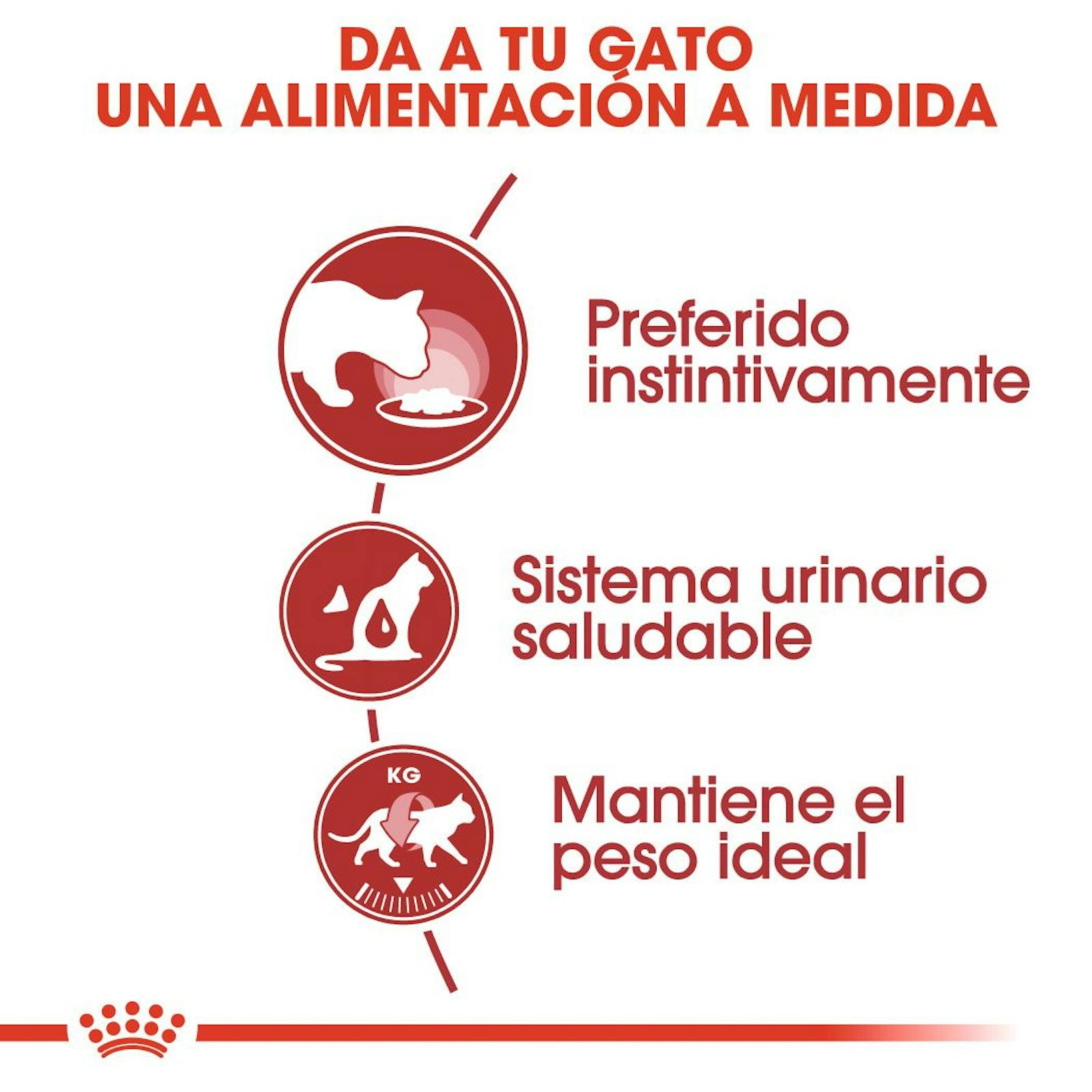 BENEFICIOS