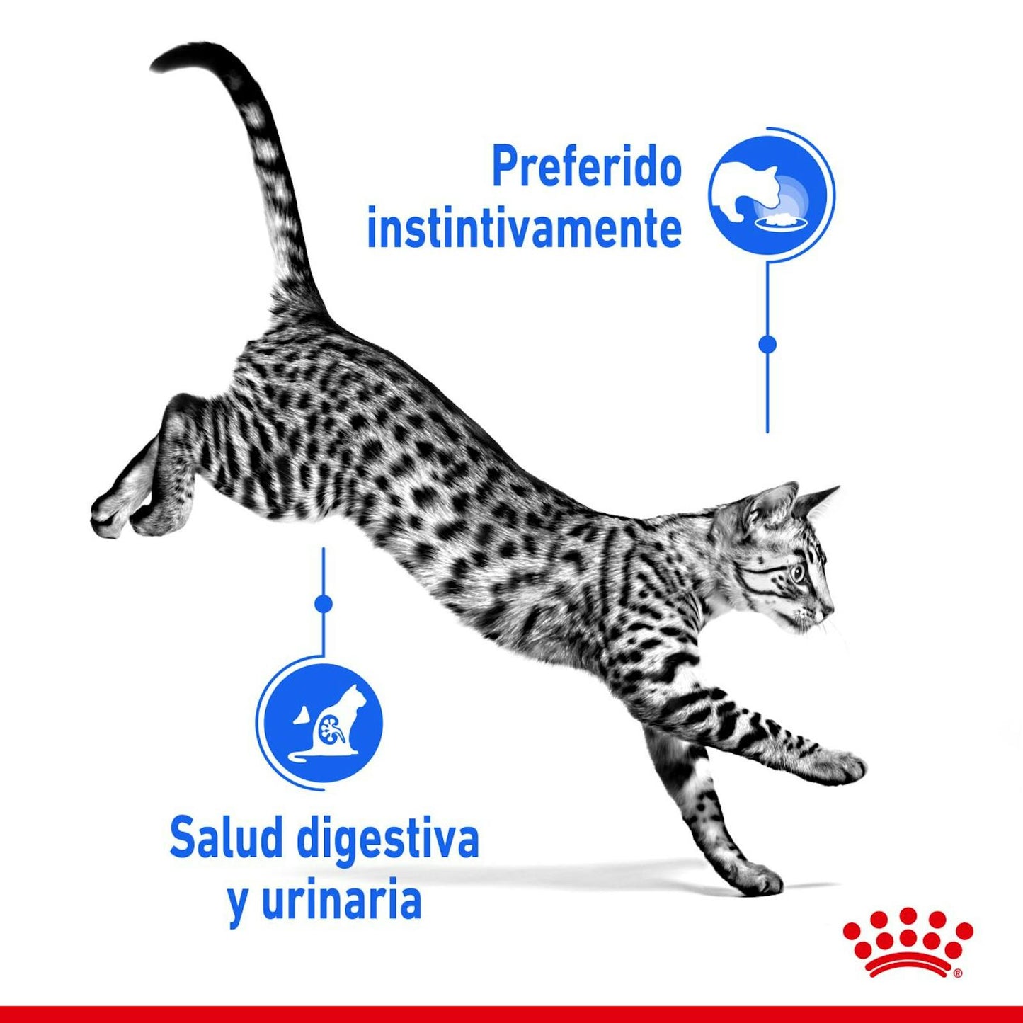 BENEFICIOS