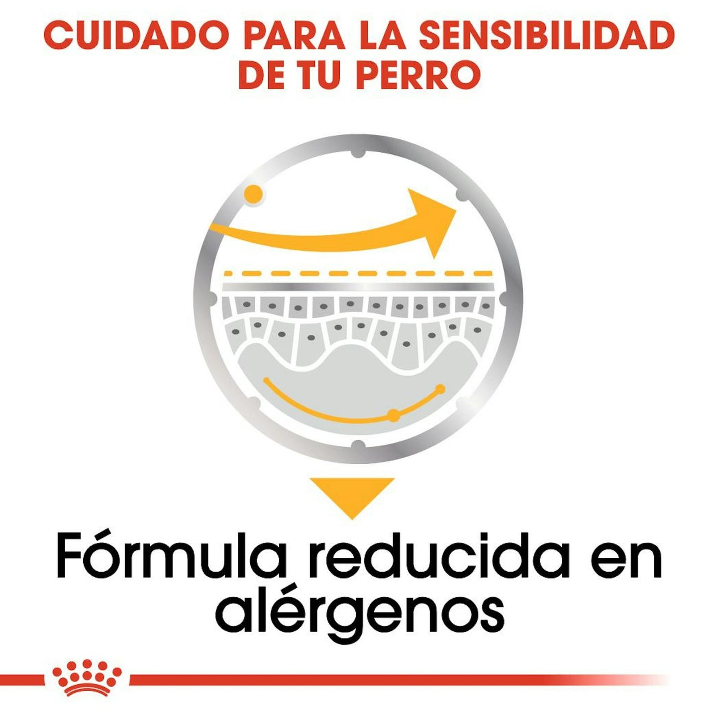 BENEFICIOS