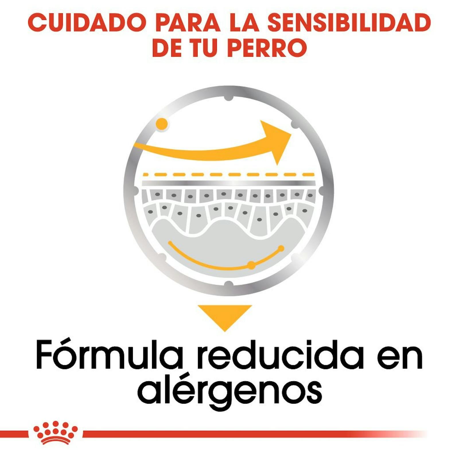 BENEFICIOS