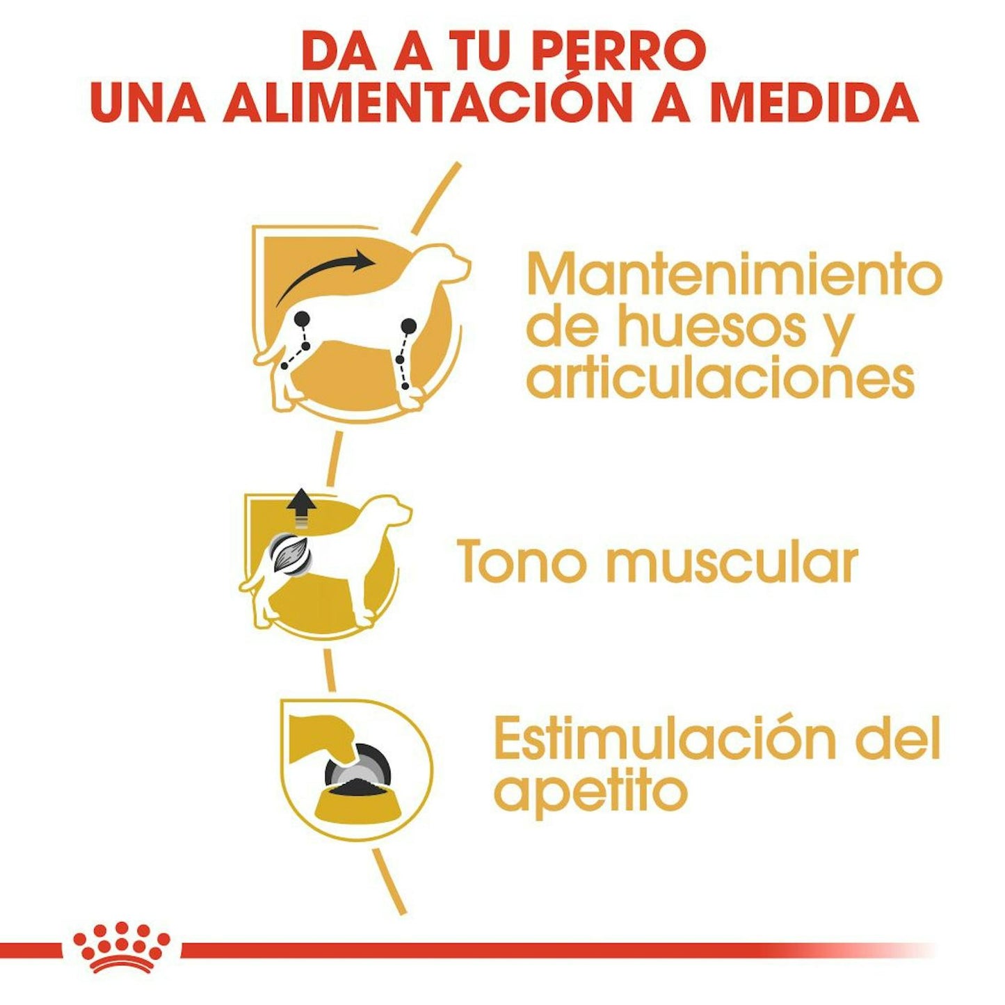 BENEFICIOS