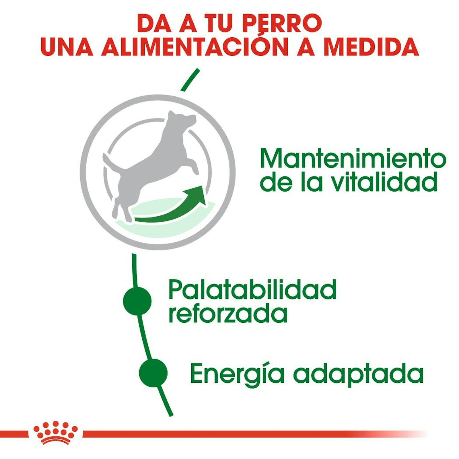 BENEFICIOS