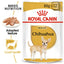 BHN-Wet-Chihuahua-MV-Eretailkit