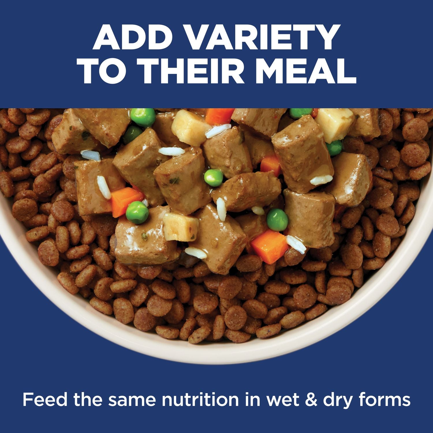 Hill's Science Diet | Alimento seco para perros adultos Adult Sensitive Stomach & Skin. Receta de pollo y cebada.