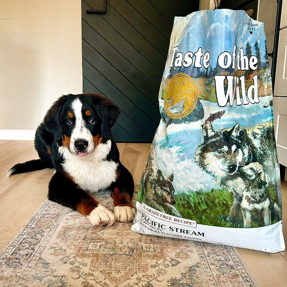 Taste of the Wild | Pacific Stream cachorros con salmón ahumado