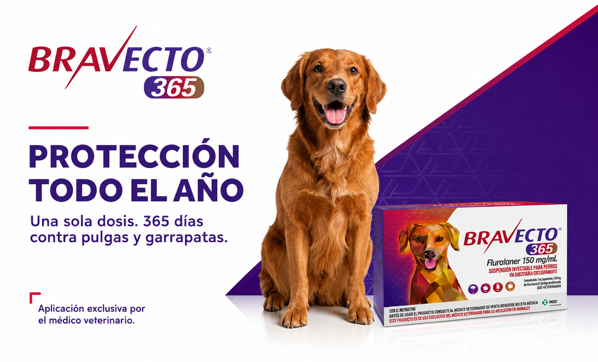 Bravecto 365, protección anual para perros