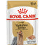 BREED-18_YORK_N_POUCH_85