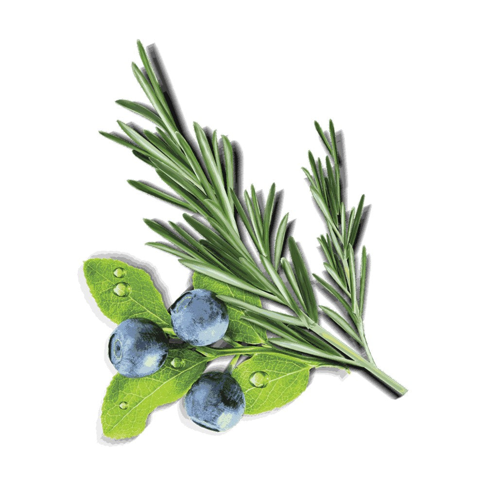 Arándanos y romero, ingredientes de Brit Premium by Nature