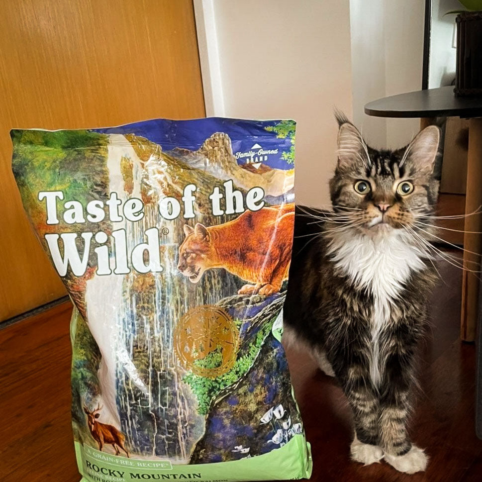 Taste of the Wild | Rocky Mountain gatos con venado asado y salmón ahumado