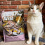 Taste of the Wild | Lowland Creek gatos con codorniz y pato asados