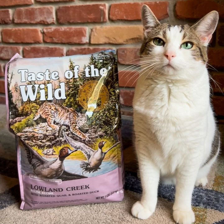 Taste of the Wild | Lowland Creek gatos con codorniz y pato asados