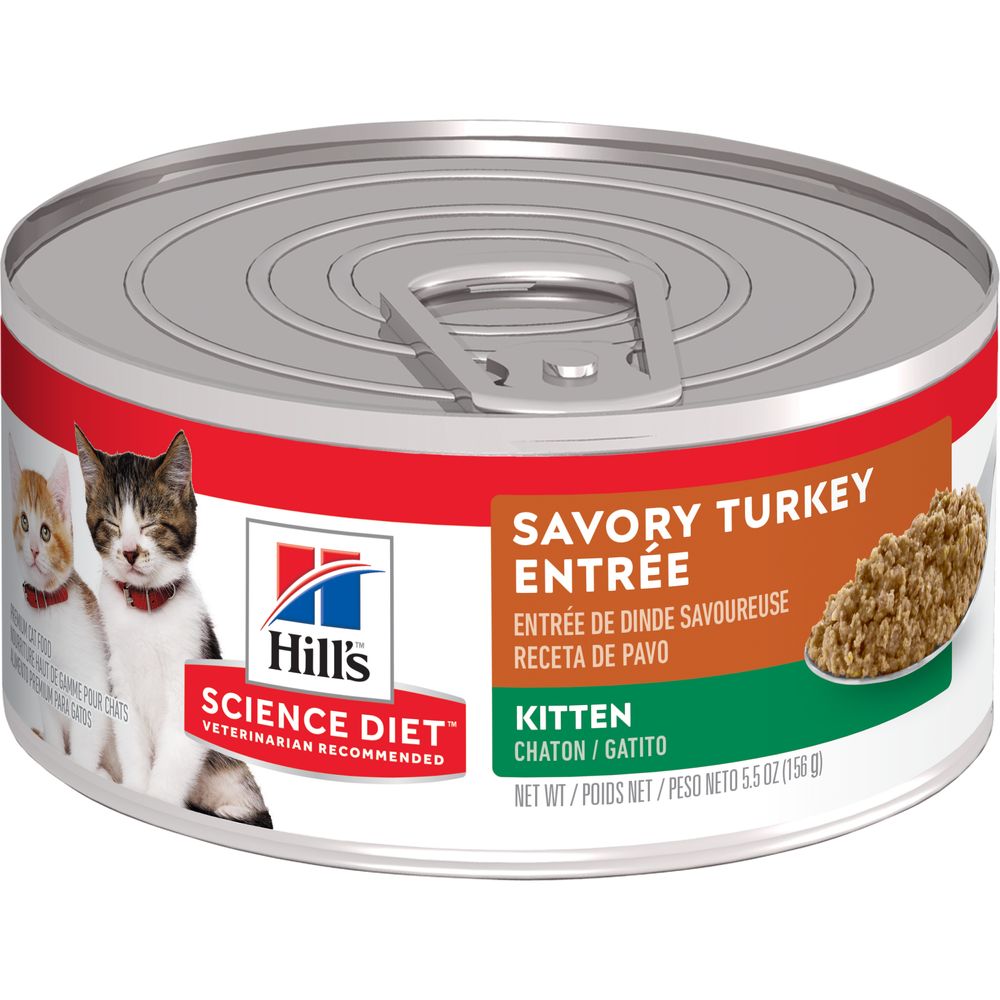Hill's Science Diet | Alimento húmedo para gatitos Kitten. Receta de pavo (Pack de 6 latas de 156 g)