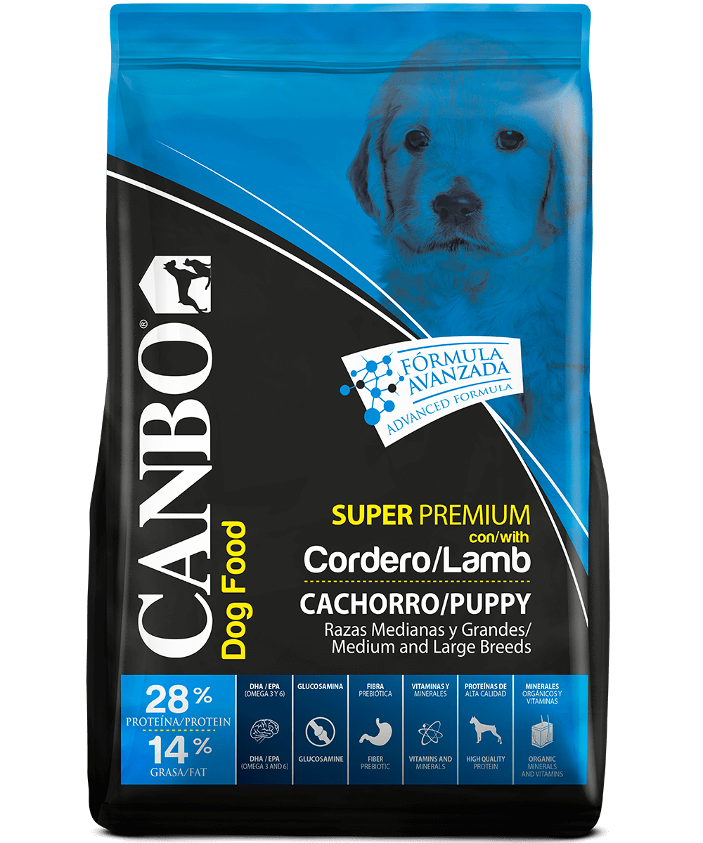 Canbo | DOG CON CORDERO RZ.MYG CACH