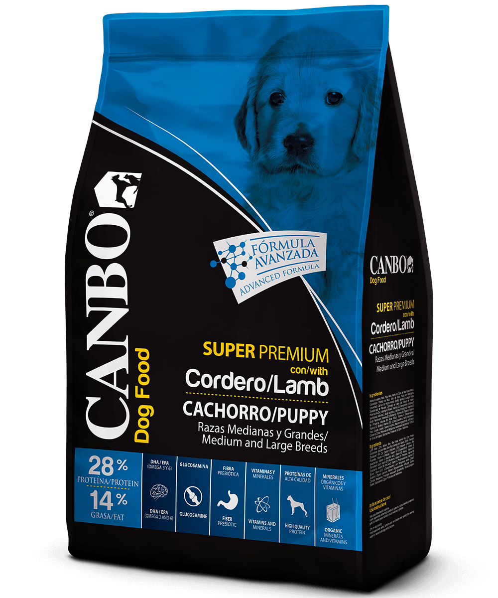 Canbo | DOG CON CORDERO RZ.MYG CACH