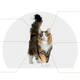 Canbo | CAT SENIOR T.RZ AD MAYOR
