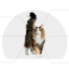 Beneficios de Canbo Cat Senior