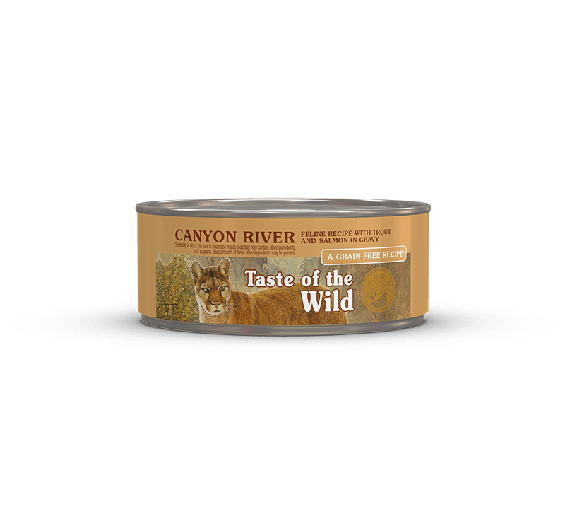 Taste of the Wild | Canyon River trucha y salmón en salsa para gatos (lata)
