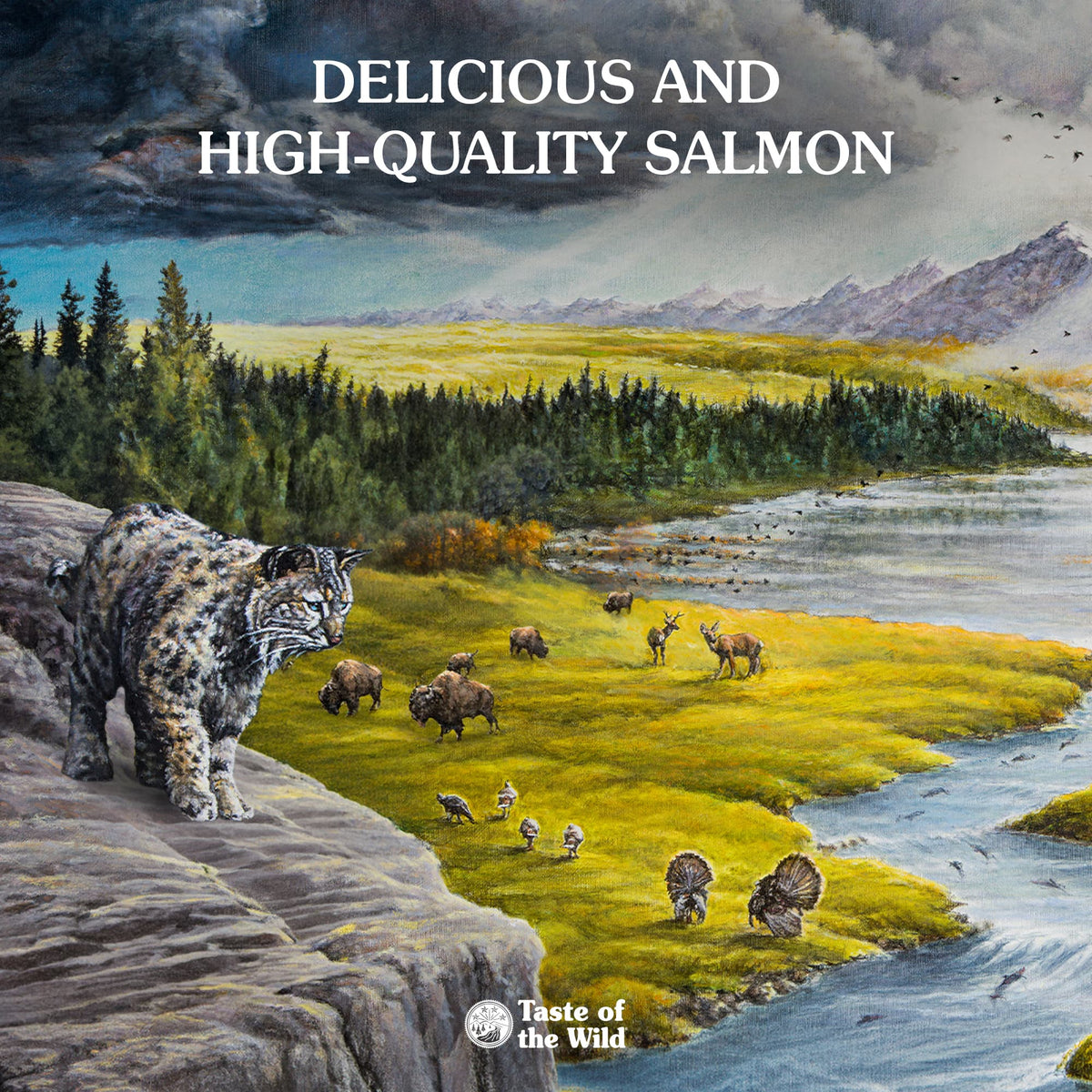 Taste of the Wild | Canyon River trucha y salmón en salsa para gatos (lata)