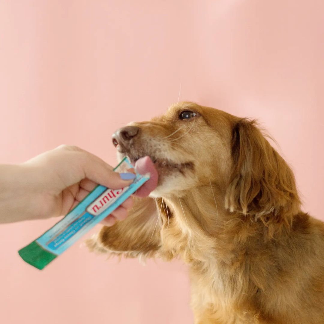 Inaba Churu — foto oficial de la gama para perros