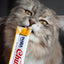 Inaba Churu — foto oficial de la gama para gatos