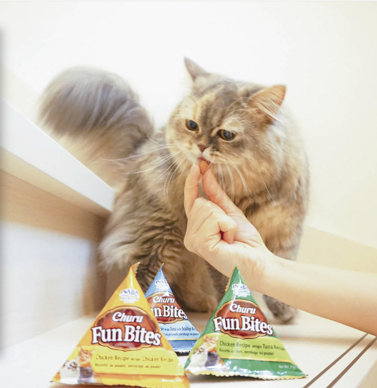 Inaba Churu Fun Bites — foto oficial de la gama para gatos