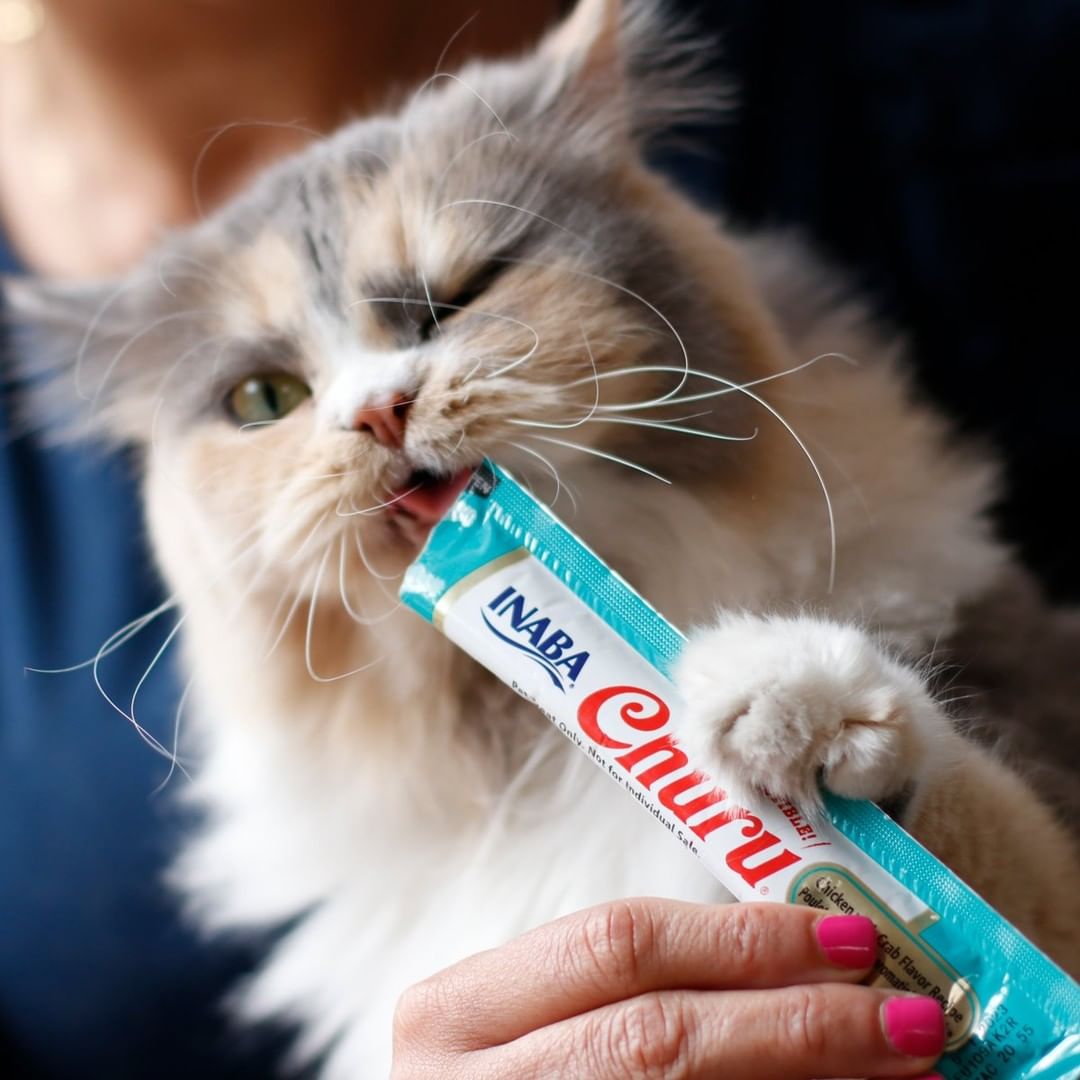 Inaba Churu | Premio cremoso para gatos sabor pollo con cangrejo — foto oficial INABA Churu