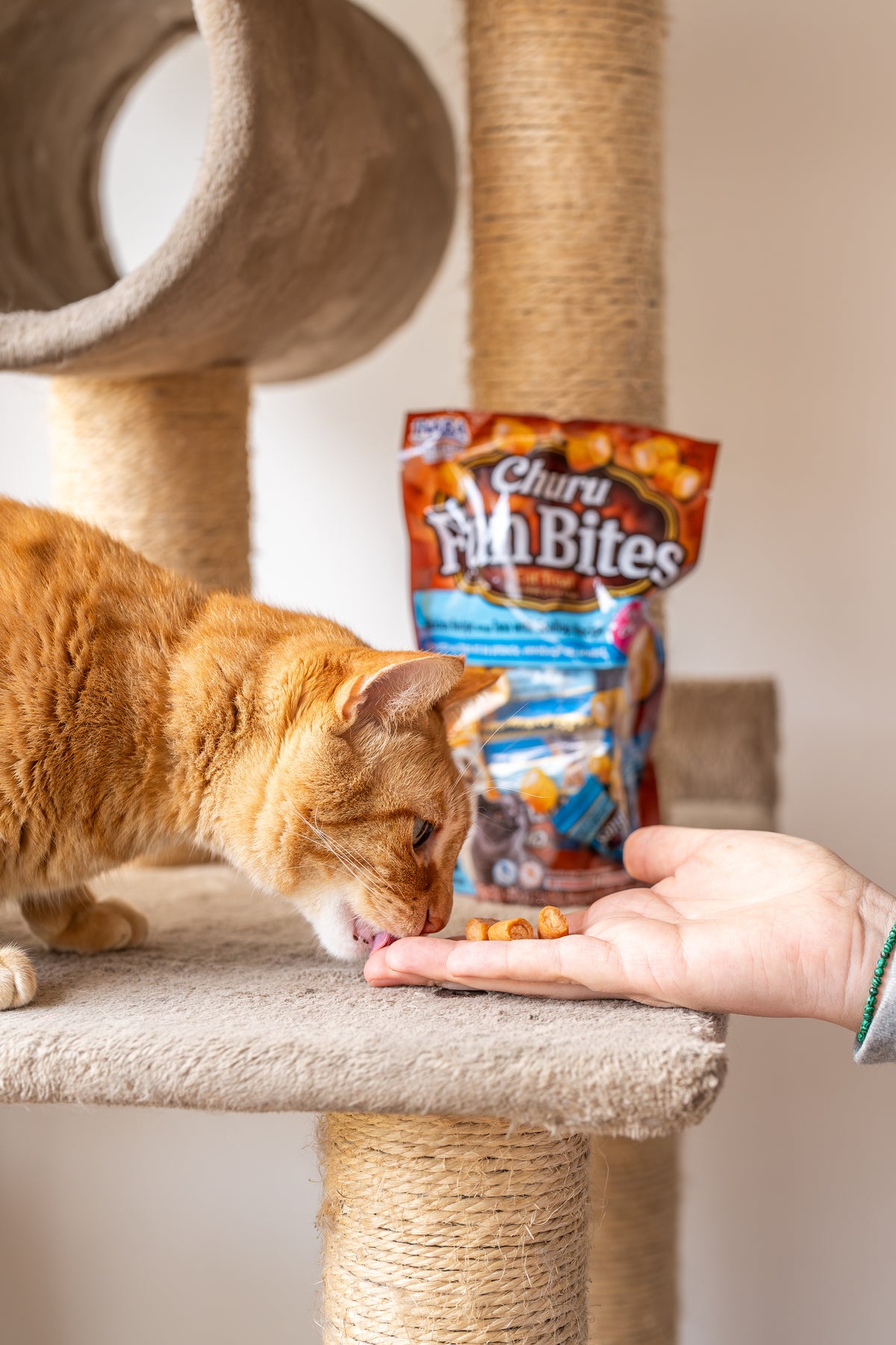 Inaba Churu Fun Bites | Premio horneado con centro cremoso para gatos sabor atún — foto oficial INABA Churu