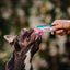 Inaba Churu | Premio cremoso para perros sabor pollo con salmón — foto oficial INABA Churu