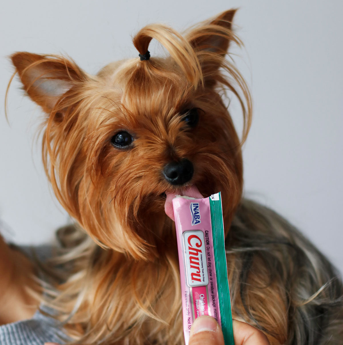 Inaba Churu | Premio cremoso para perros sabor pollo con salmón — foto oficial INABA Churu