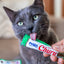 Inaba Churu | Premio cremoso para gatos sabor atún con pollo — foto oficial INABA Churu
