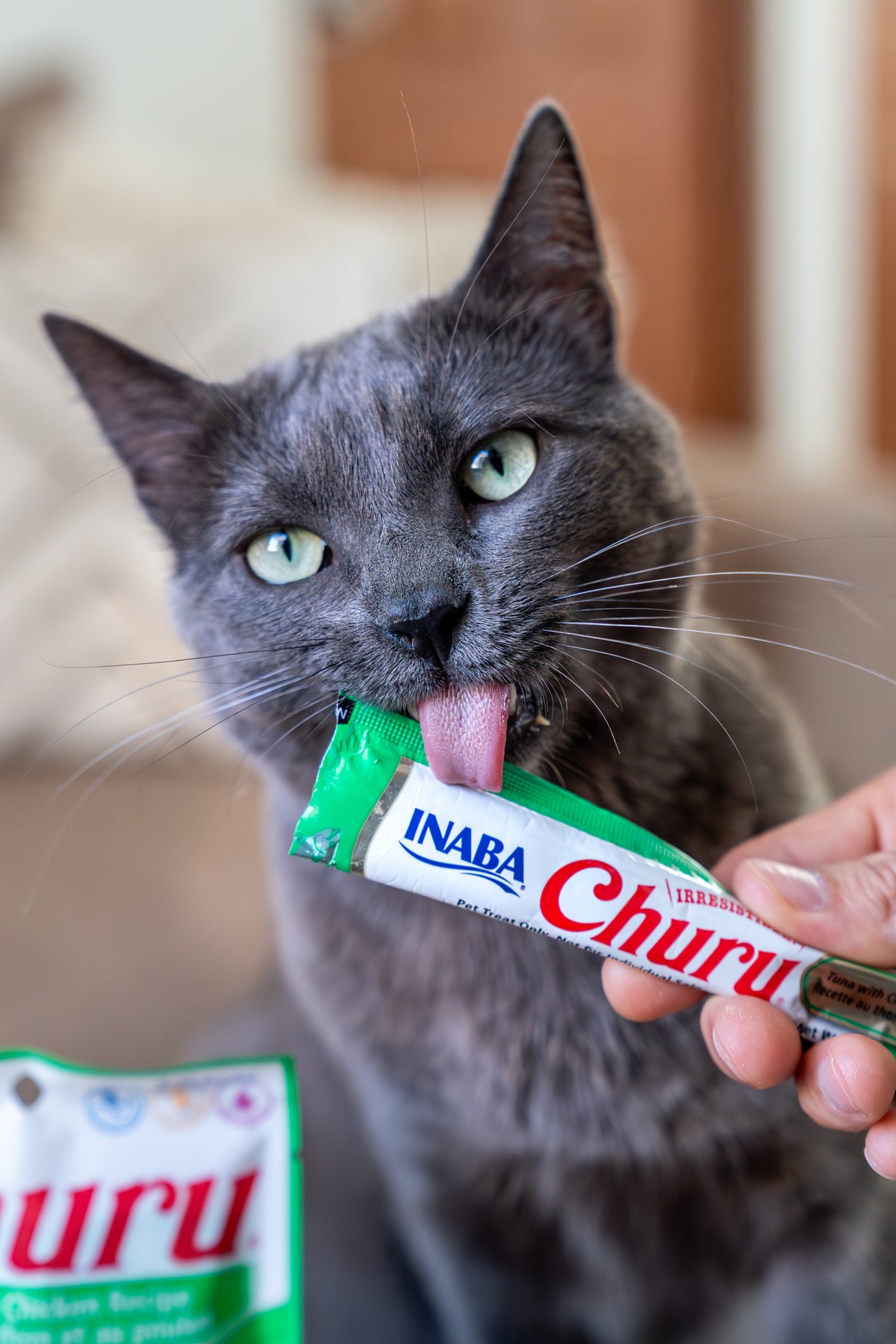 Inaba Churu | Premio cremoso para gatos sabor atún con pollo — foto oficial INABA Churu