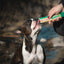 Inaba Churu | Premio cremoso para perros sabor pollo con vegetales — foto oficial INABA Churu