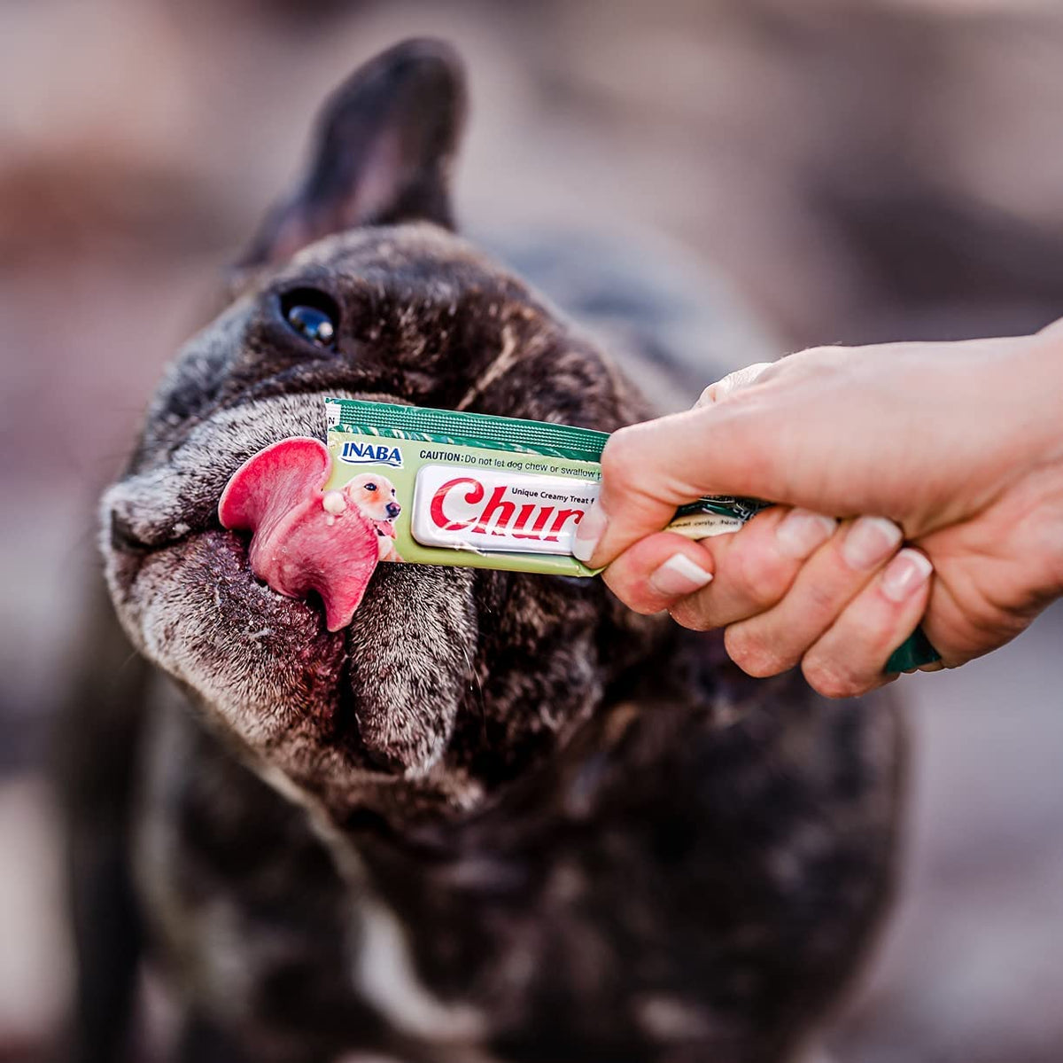 Inaba Churu — foto oficial de la gama para perros