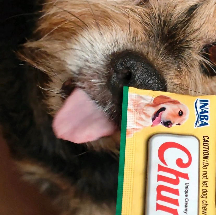 Inaba Churu | Premio cremoso para perros sabor pollo — foto oficial INABA Churu