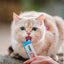 Inaba Churu | Premio cremoso para gatos sabor atún con ostión — foto oficial INABA Churu