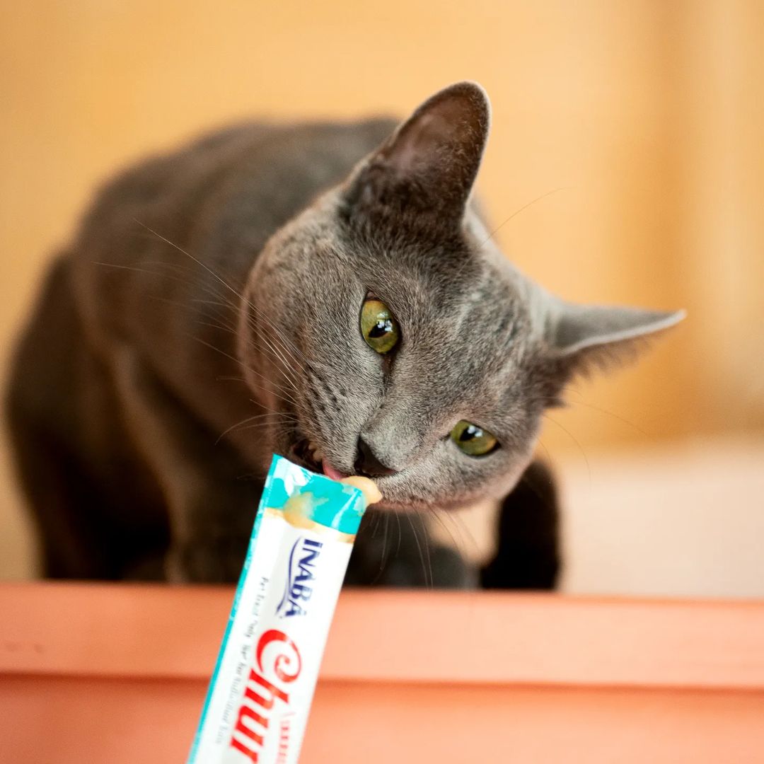 Inaba Churu — foto oficial de la gama para gatos