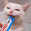 Inaba Churu — foto oficial de la gama para gatos