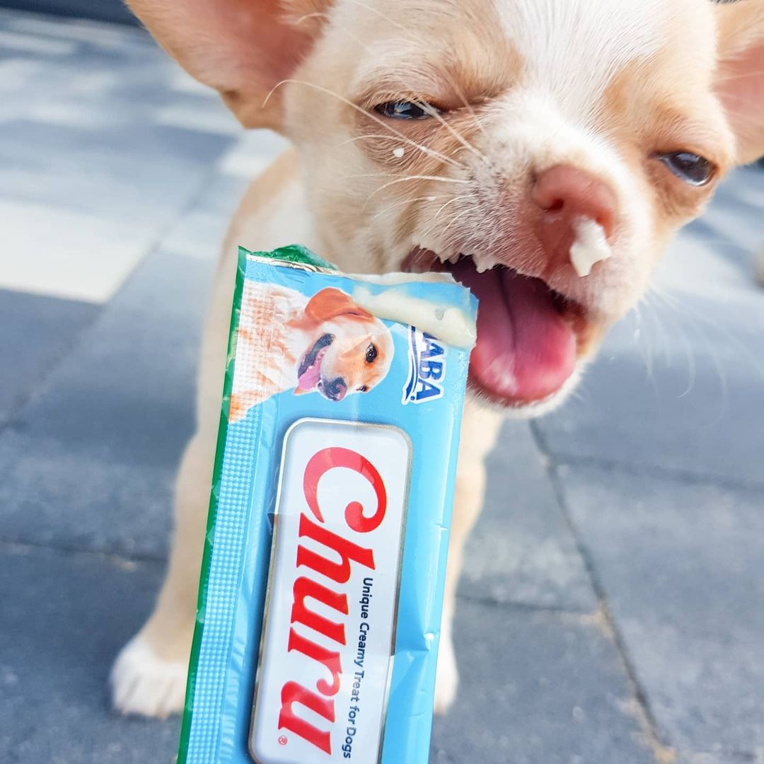 Inaba Churu — foto oficial de la gama para perros