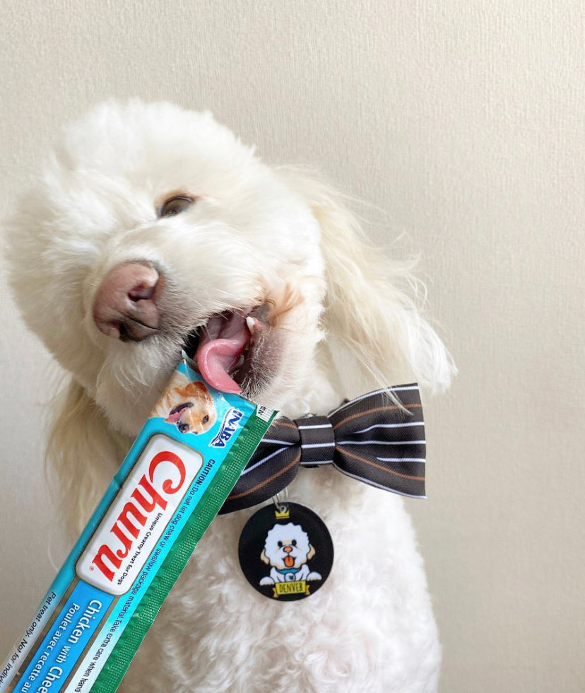 Inaba Churu | Premio cremoso para perros sabor pollo con queso — foto oficial INABA Churu